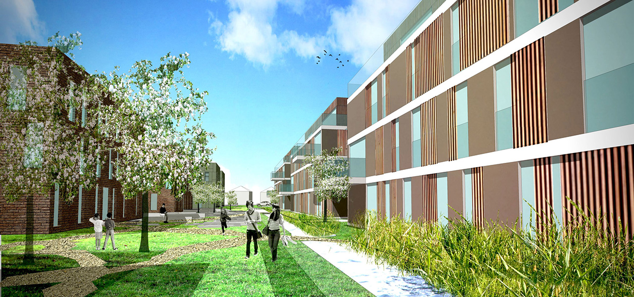 Green Skyline Projects foto4